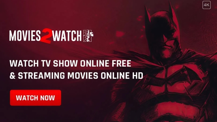 Movies2Watch free HD streaming banner